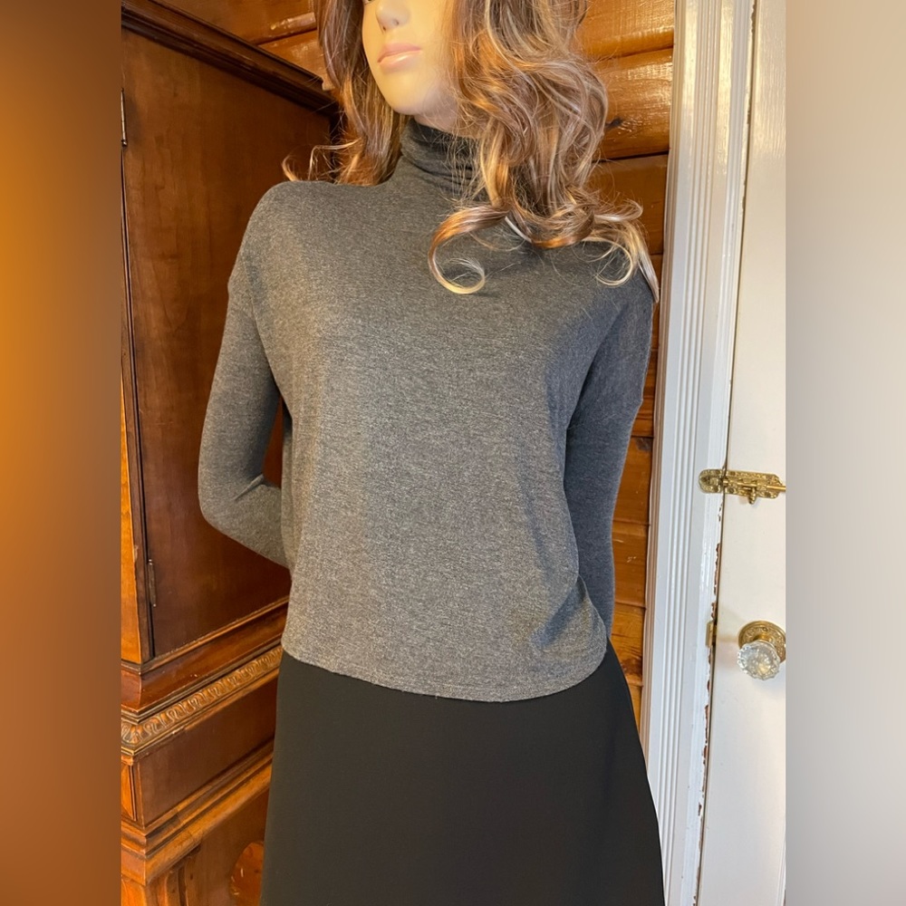 Aritzia Babaton Turtleneck Cropped Long Sleeve Top XXS